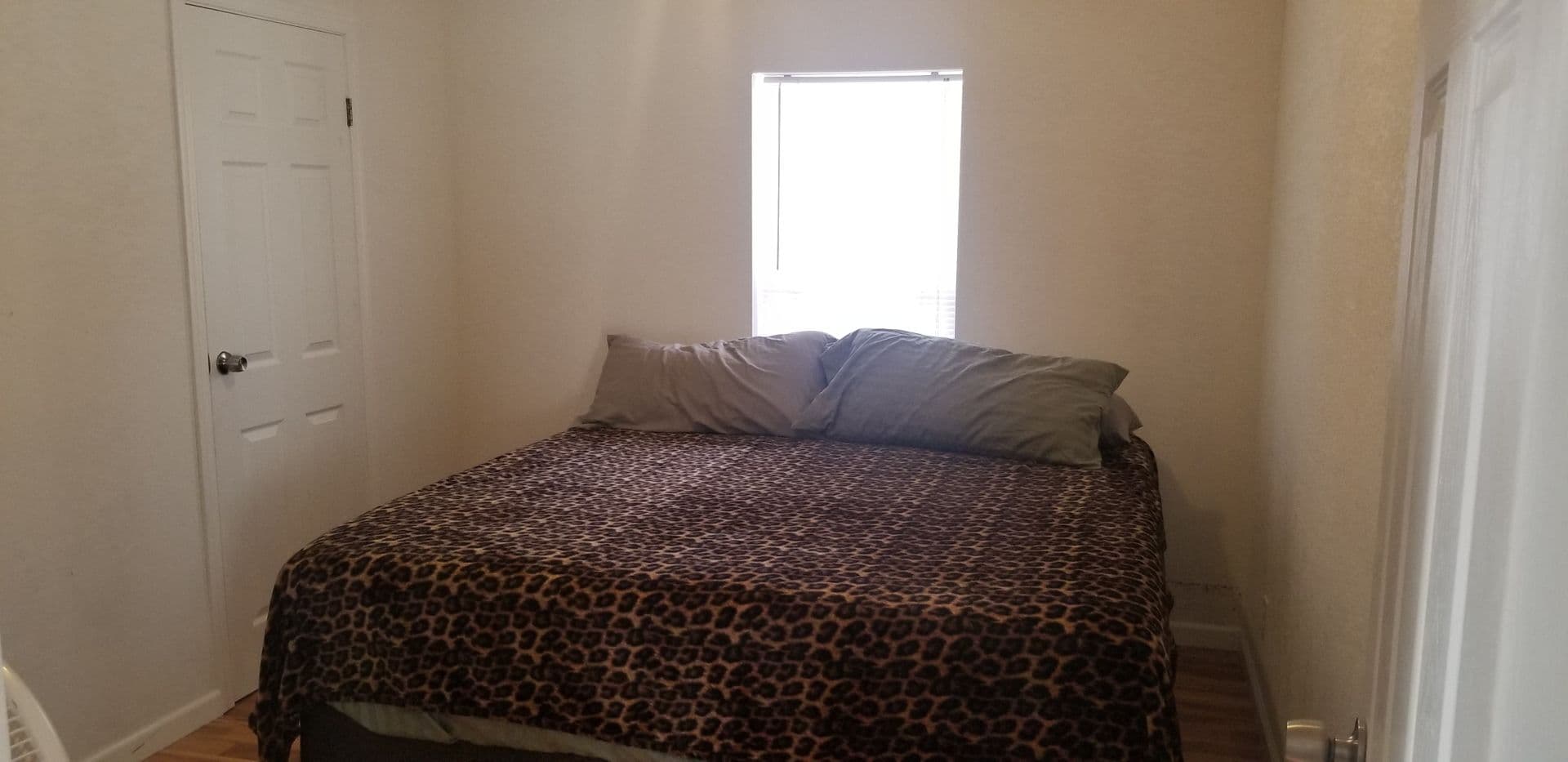 Lake Havasu City House: 3130 William Dr