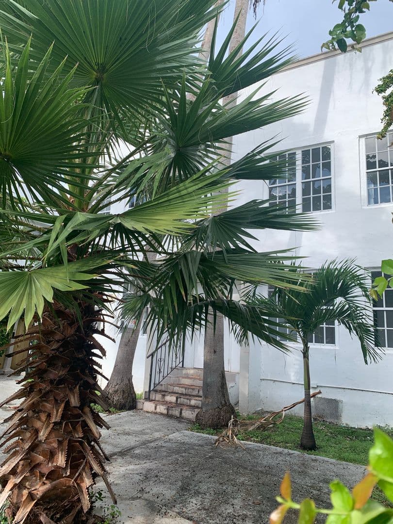 Miami Beach Apartment: 744 Jefferson Avenue