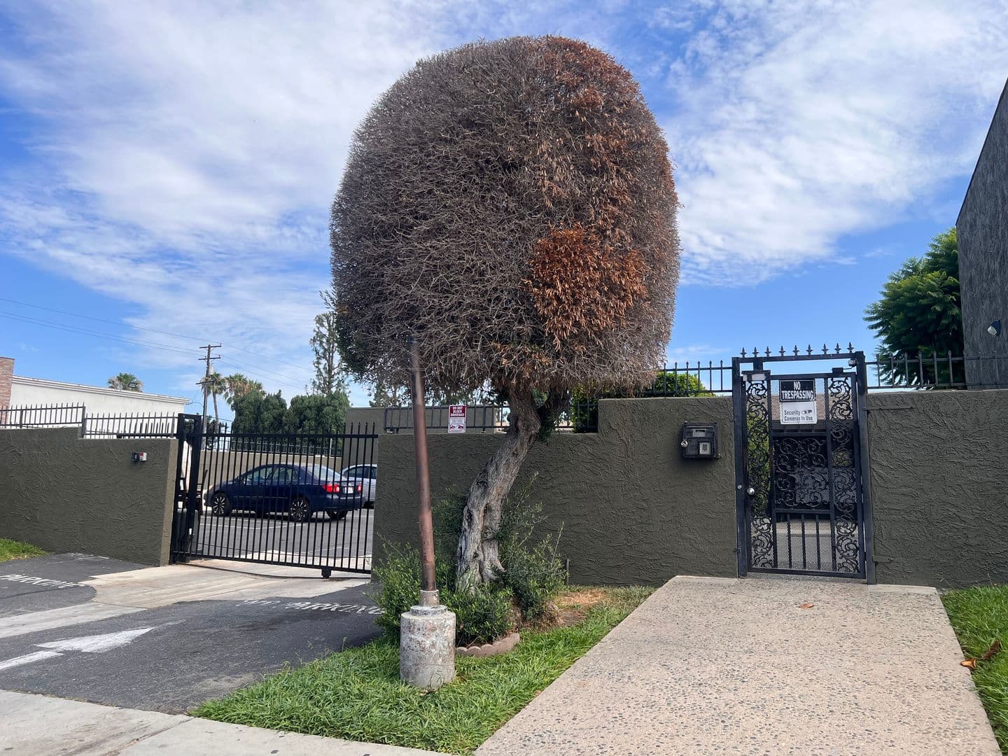 Buena Park Apartment: 7051 9th St.  #215