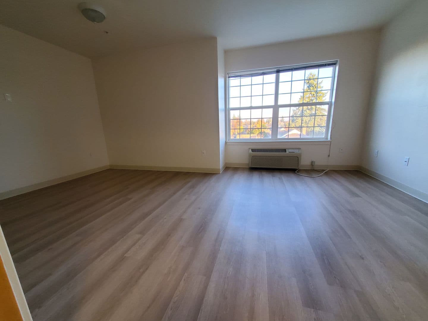Tacoma Apartment: 1609 S. Union Ave