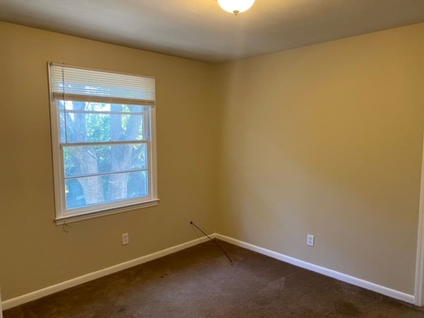 Valdosta House: 207 1/2 W Force Street *