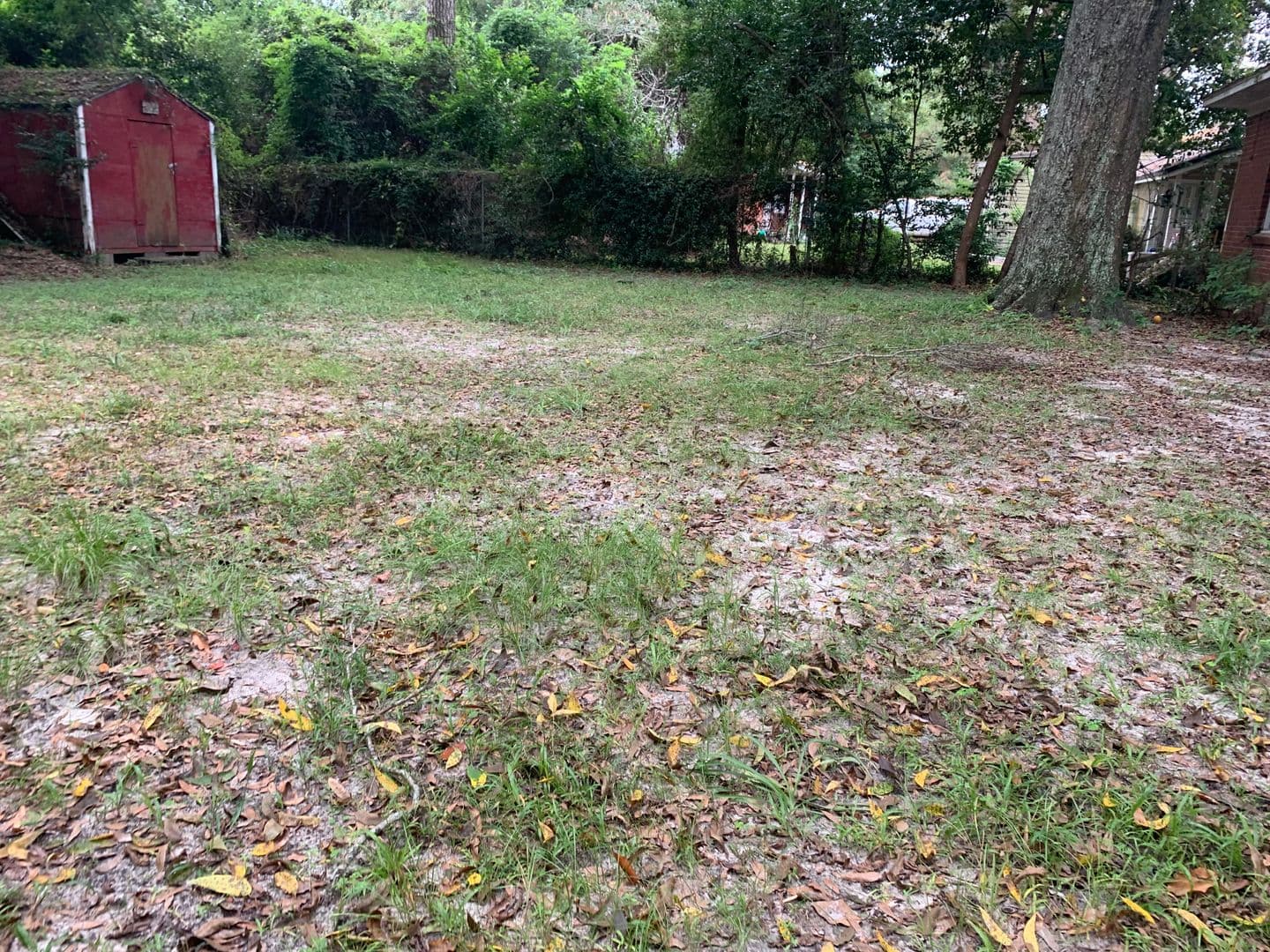 Valdosta House: 307 Rosedale Pl