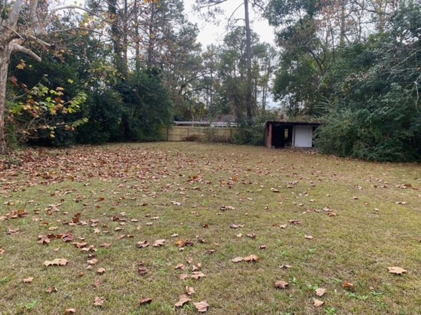 Valdosta House: 505 Mack Drive