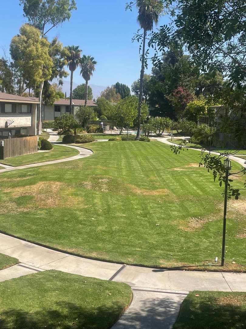 Colton Condo: 1150 S. Meadow Lane #8