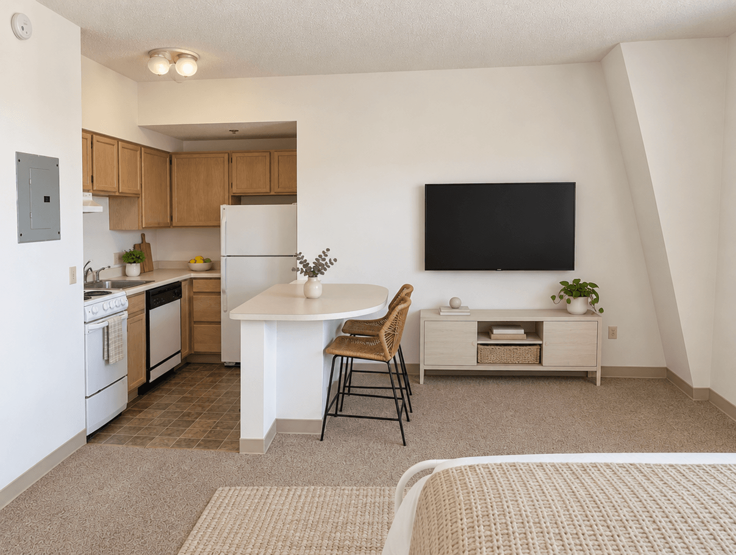 Minneapolis Apartment: 36 9th St S