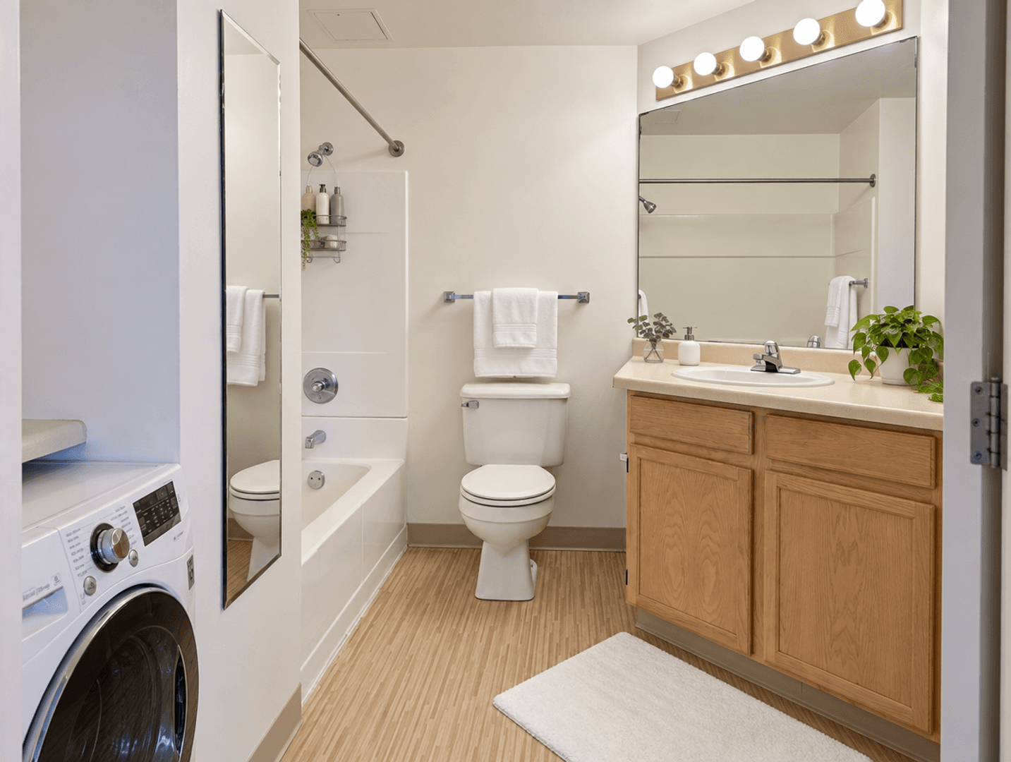 Minneapolis Apartment: 36 9th St S