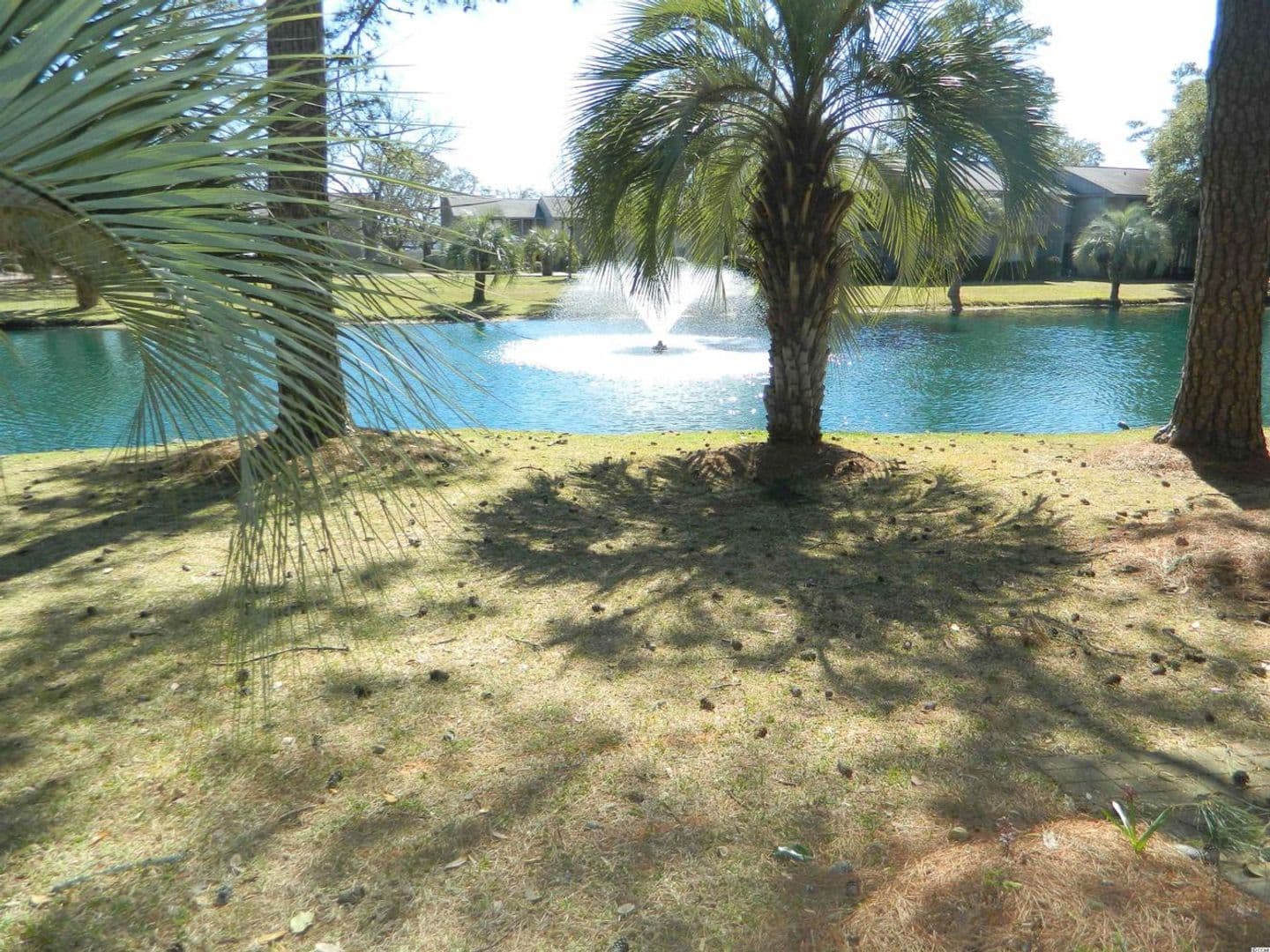 Pawleys Island House: 435 Salt Marsh Circle 19D