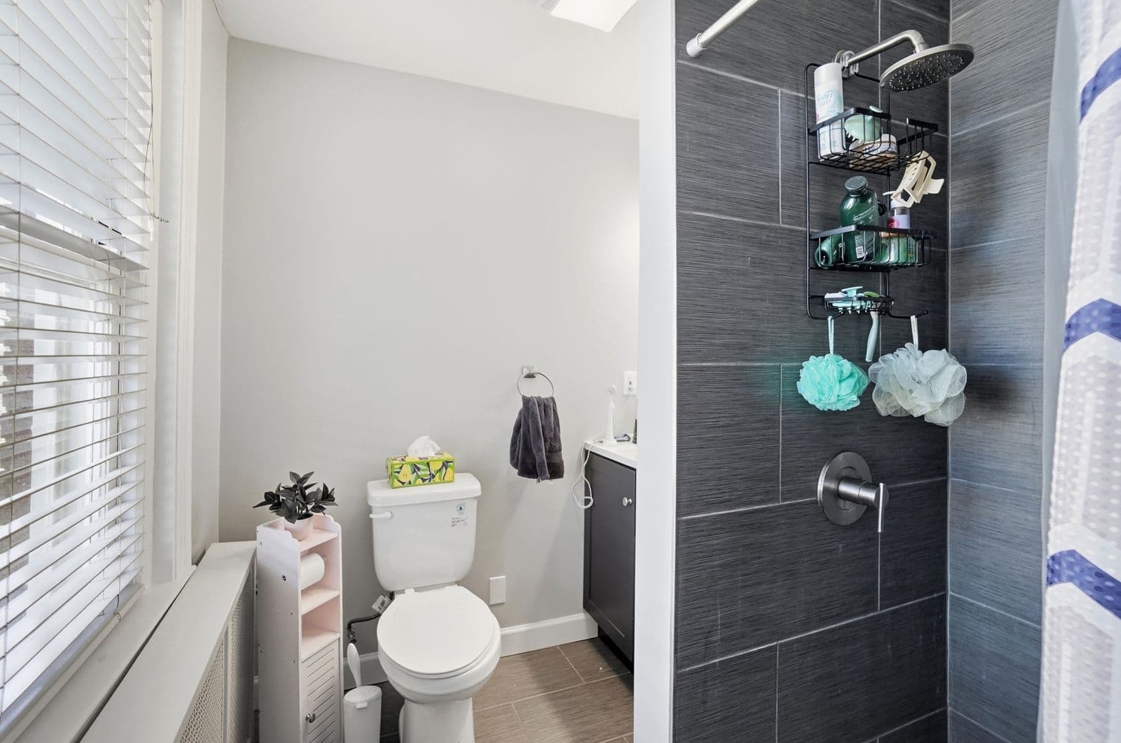 Cincinnati Apartment: 2406 Auburn Ave