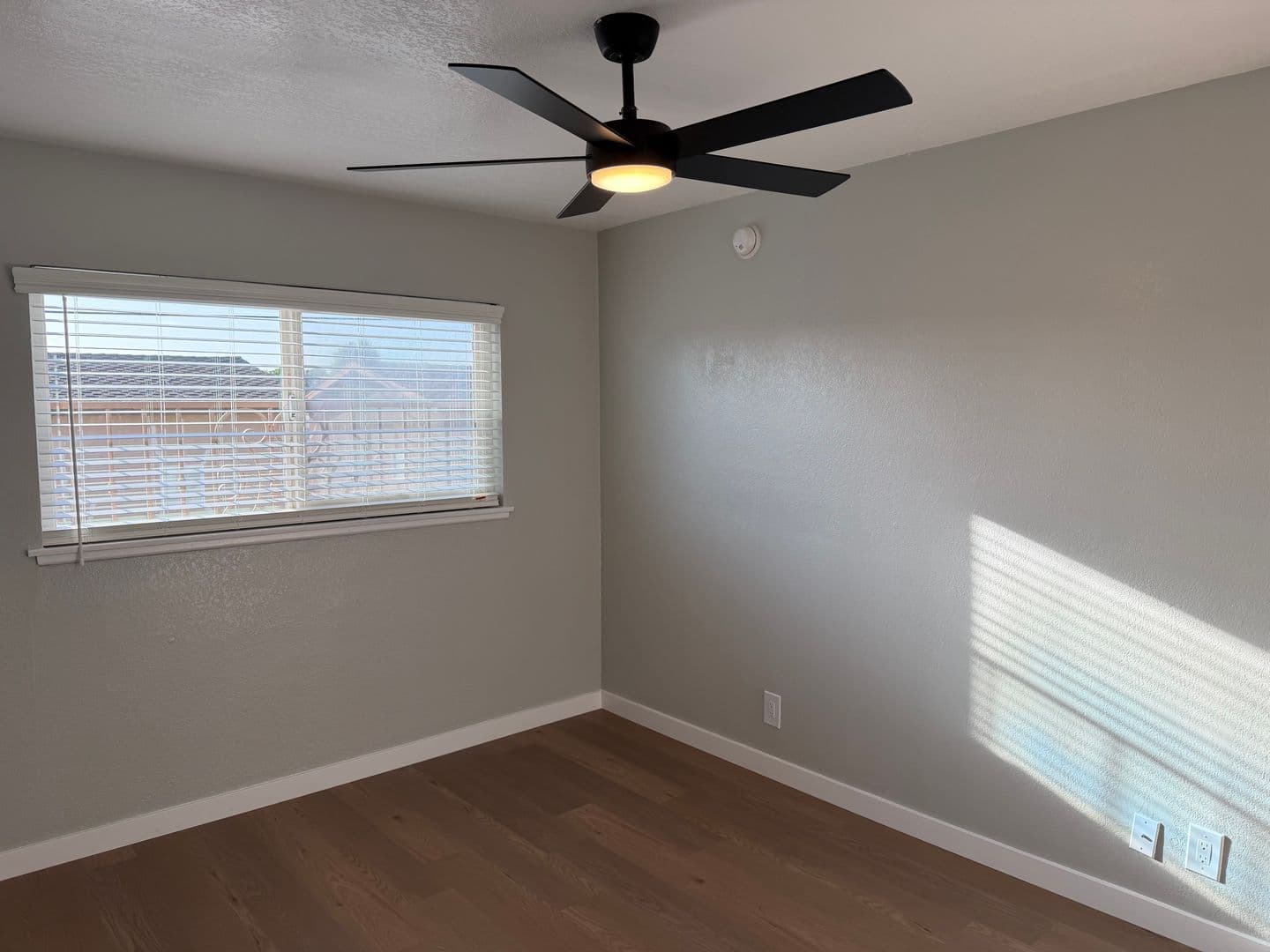 Lakewood Apartment: 4907 1/4 Hayter Avenue