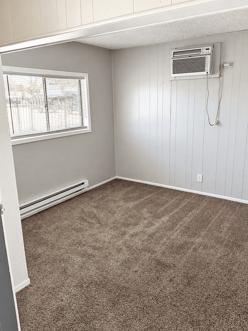 Colorado Springs Apartment: 221-225 East Brookside St.