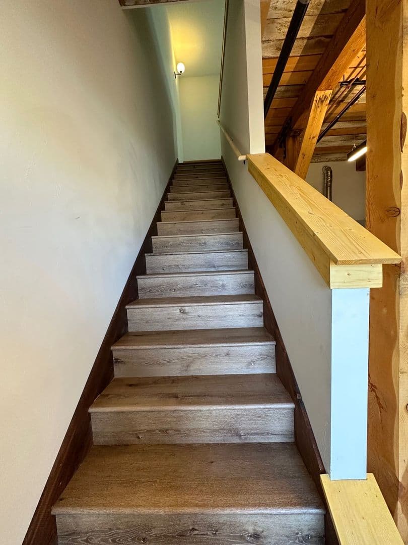 Livingston Apartment: 924 E Park St