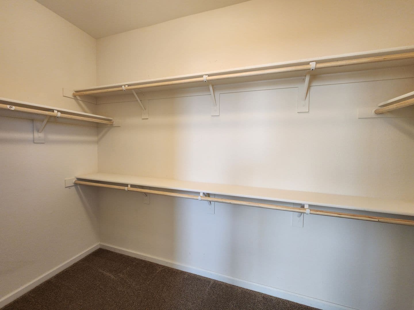 Carson City House: 1034 Arbor Road