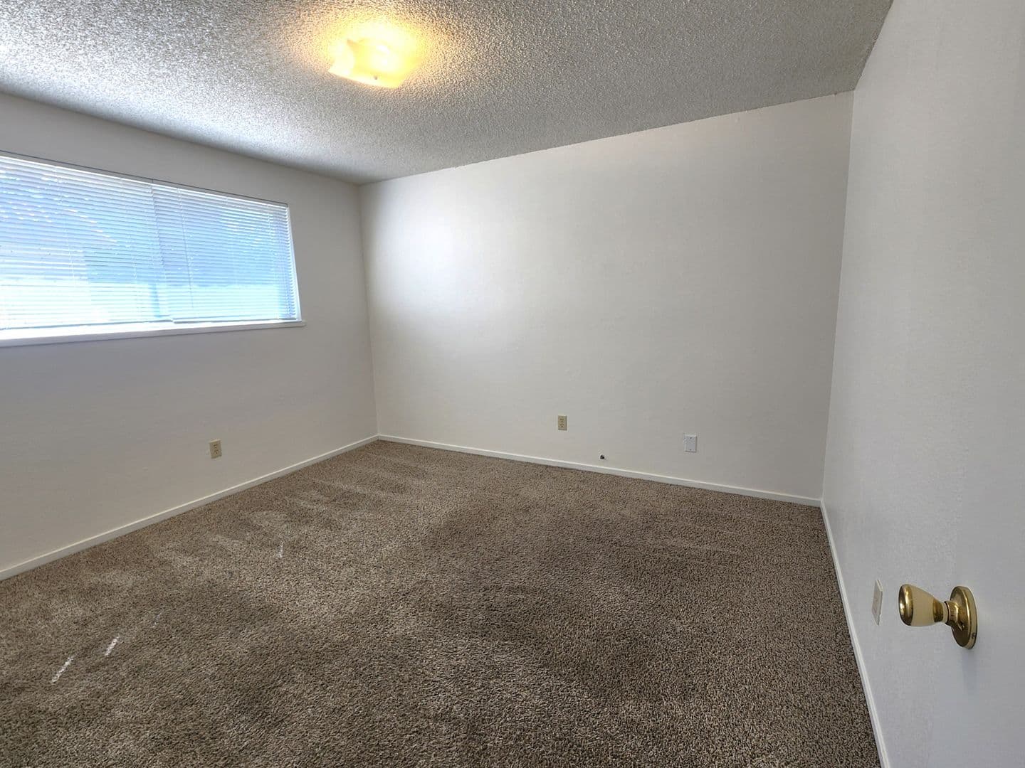 Carson City Apartment: 3508 Woodside Dr.