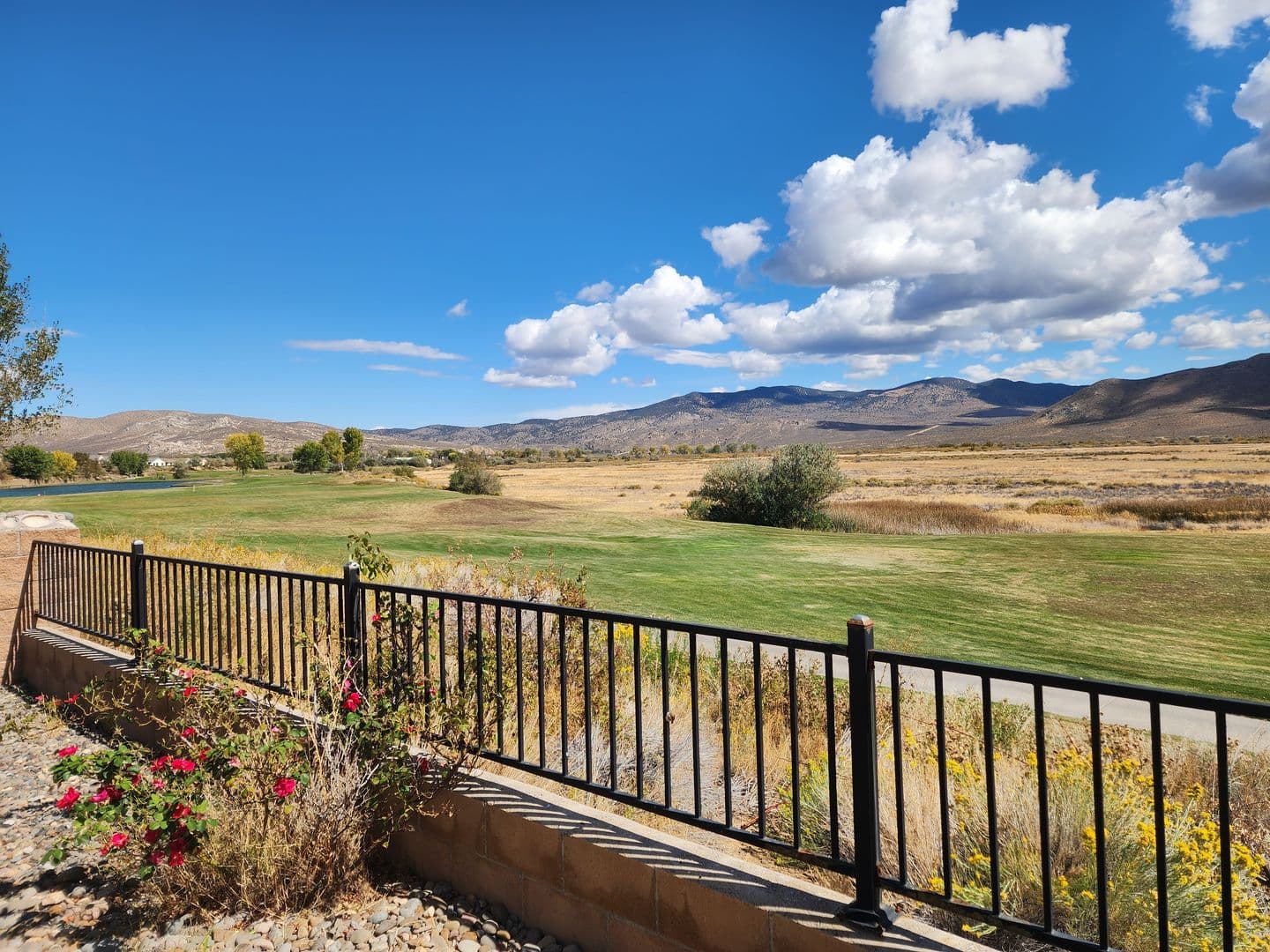 Minden House: 3493 Long Drive