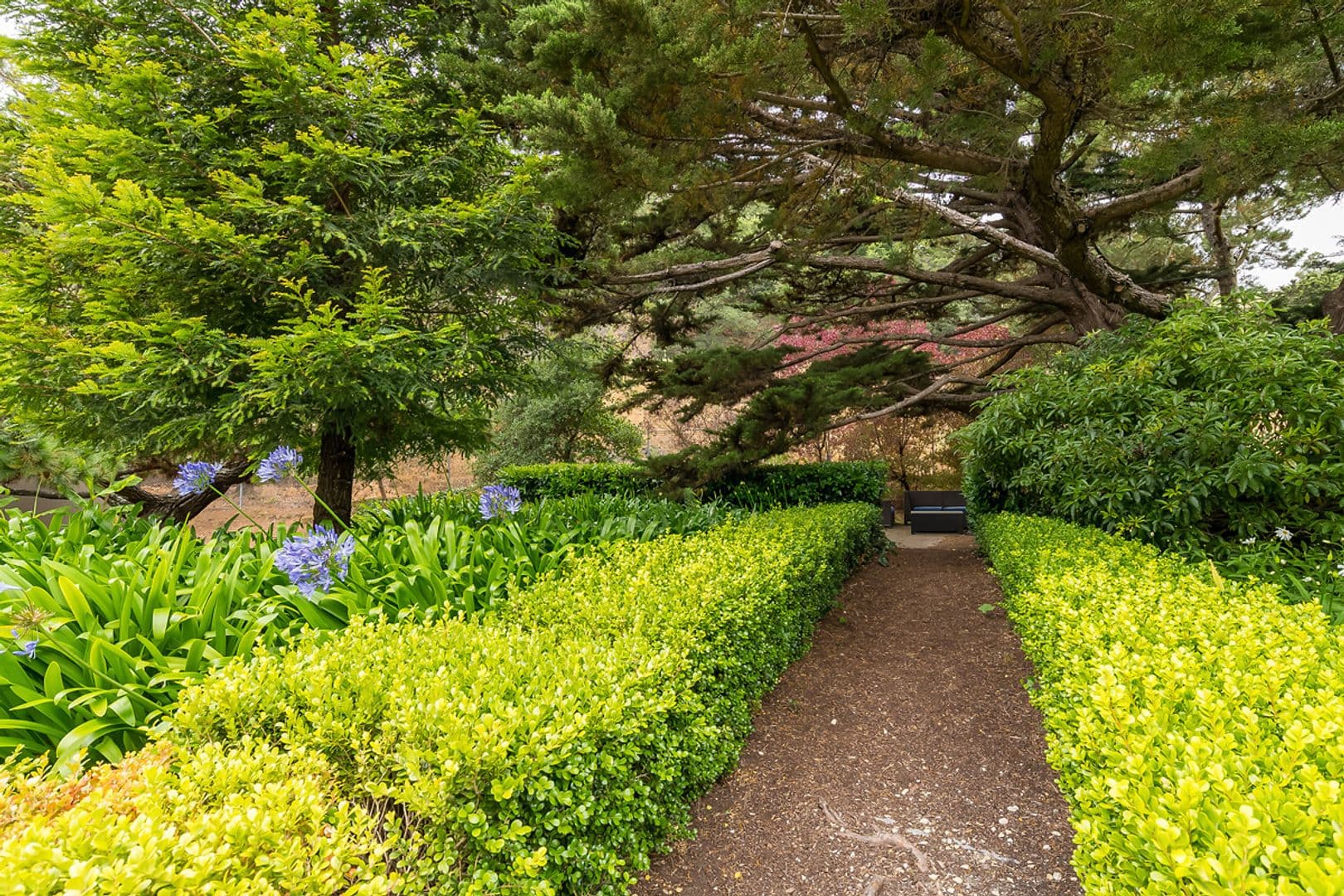 Sausalito Condo: 80 Lincoln Dr., #2C