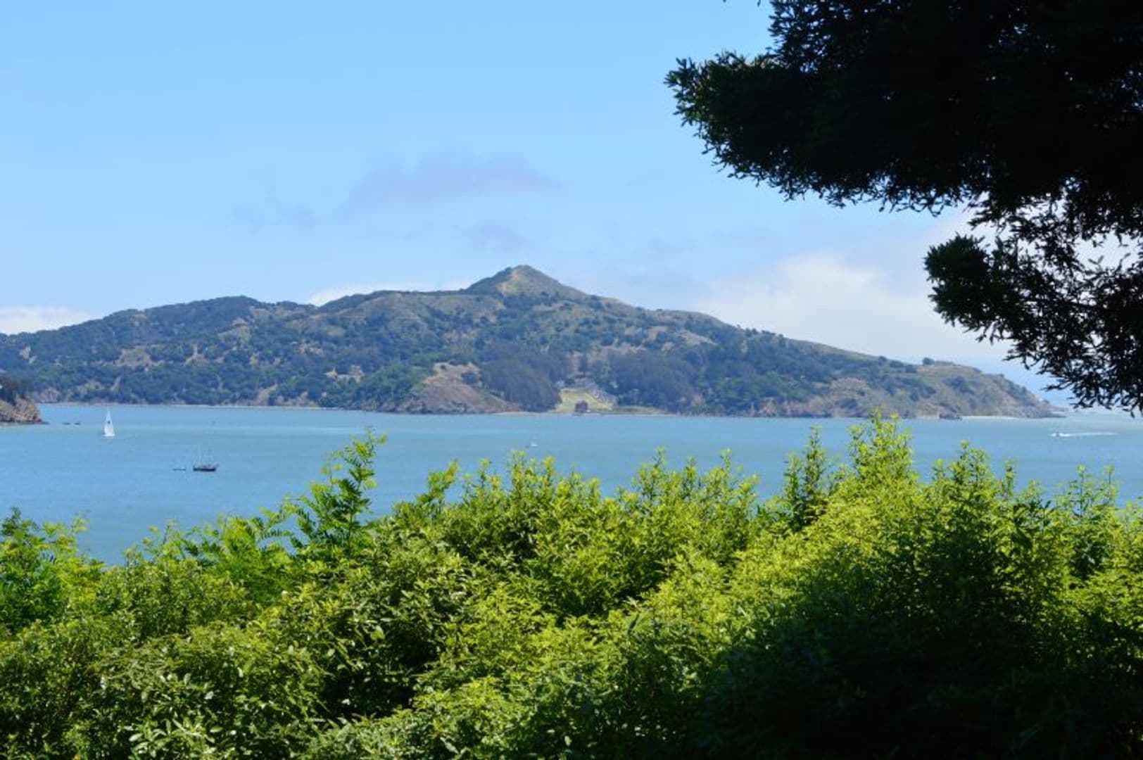 Sausalito House: 140 Bulkley Ave.