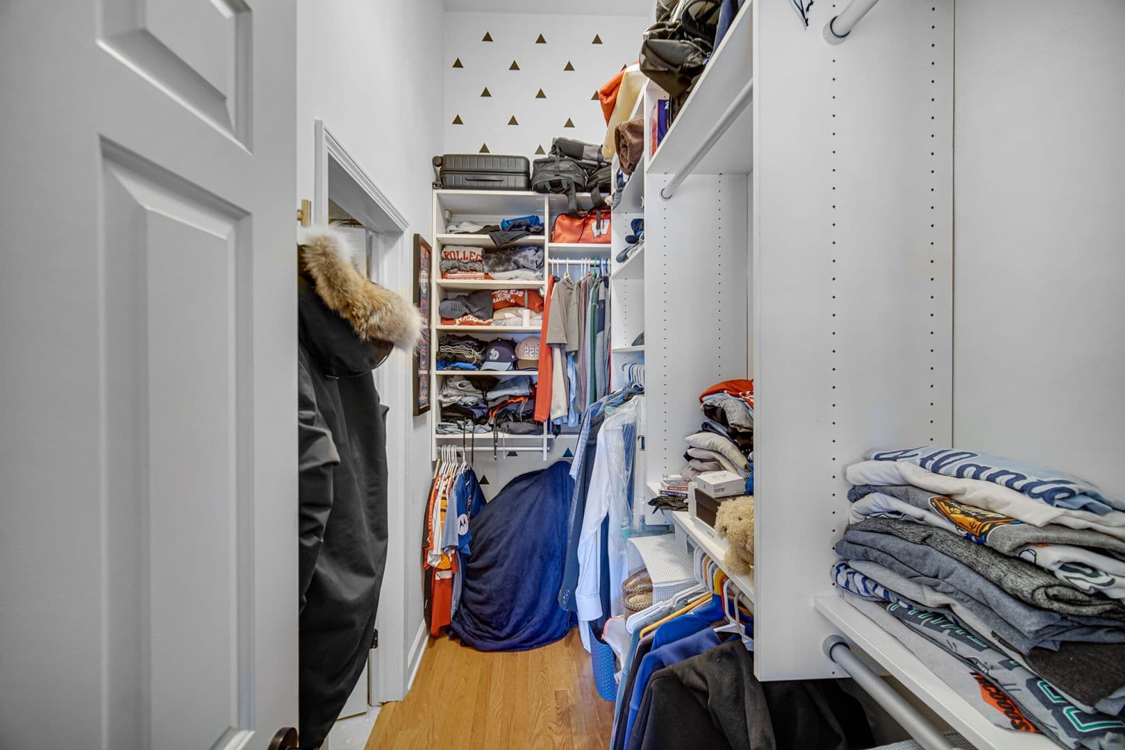 Chicago Apartment: 1552 W Fullerton