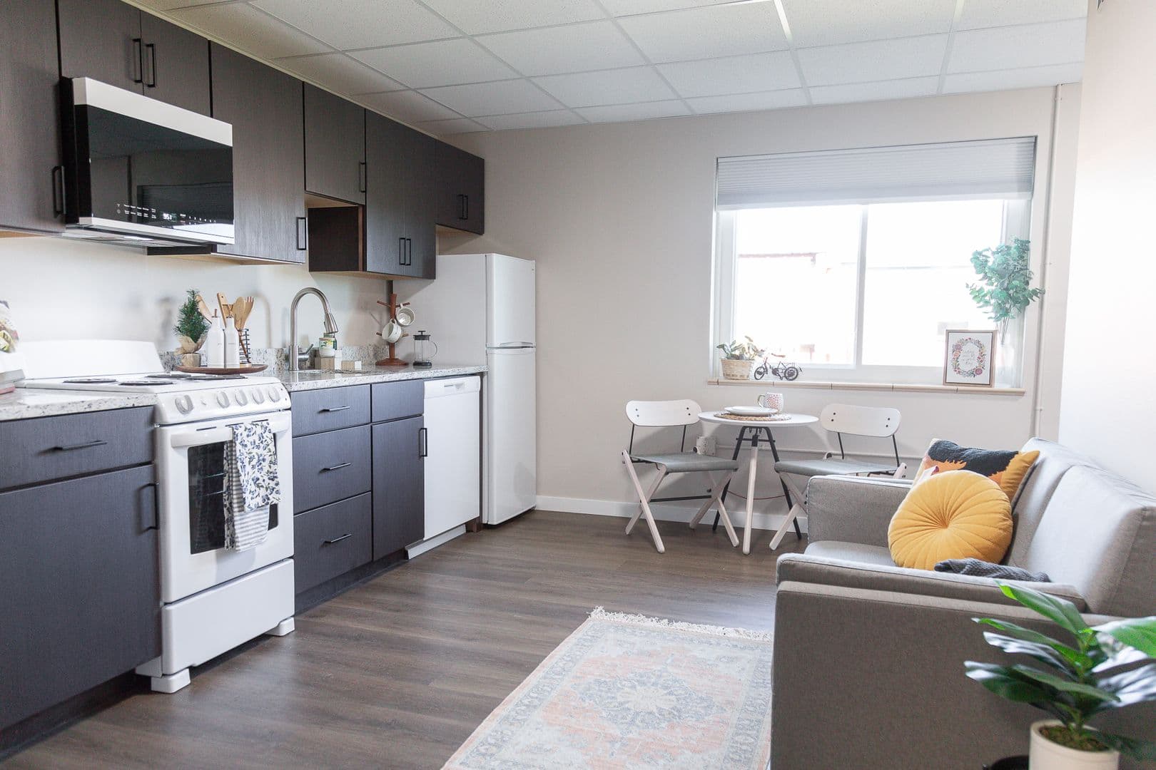 Chilton Apartment: 810 Memorial Drive