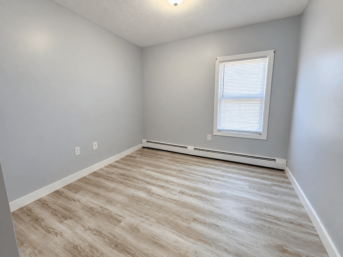 Worcester Apartment: 45 Ward St
