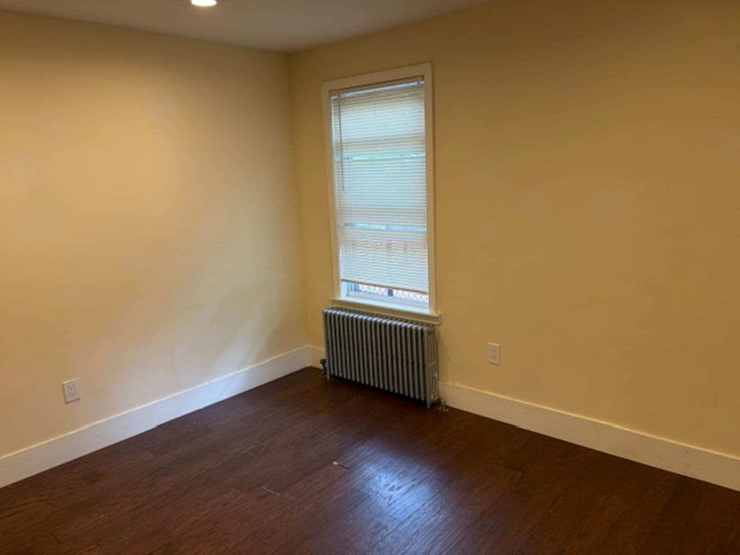 CAMBRIDGE Apartment: 23 MAGEE STREET