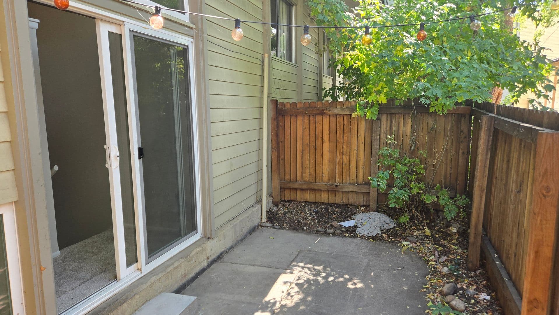 Boulder Apartment: 1842 Canyon Blvd