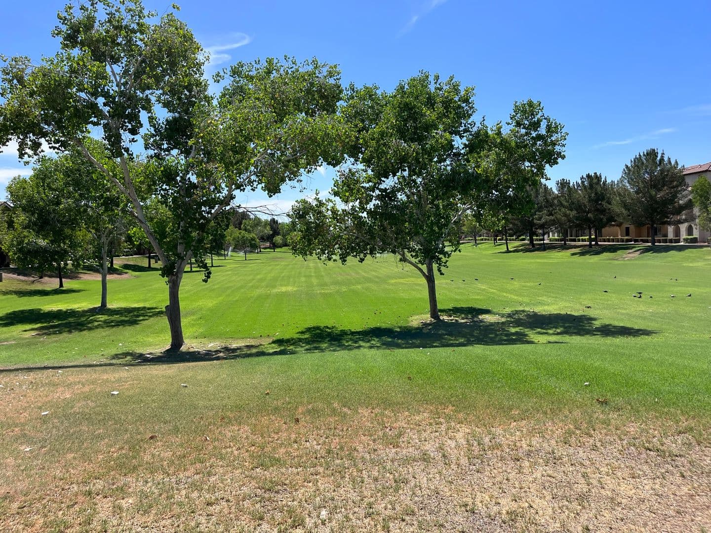 Gilbert House: 1046 S Annie Ln