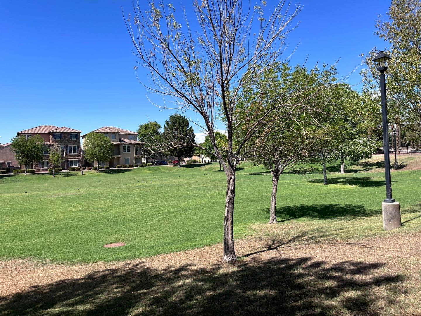 Gilbert House: 1046 S Annie Ln