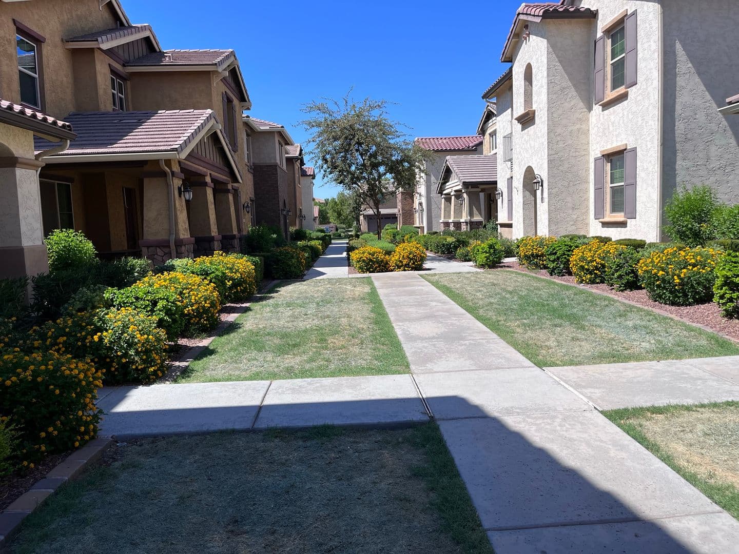 Gilbert House: 1046 S Annie Ln