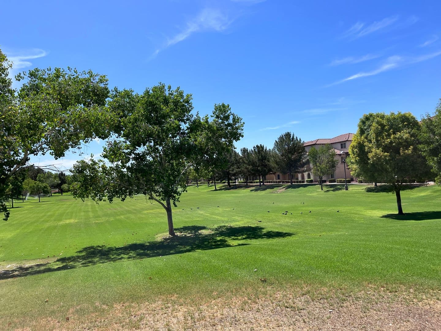 Gilbert House: 1046 S Annie Ln