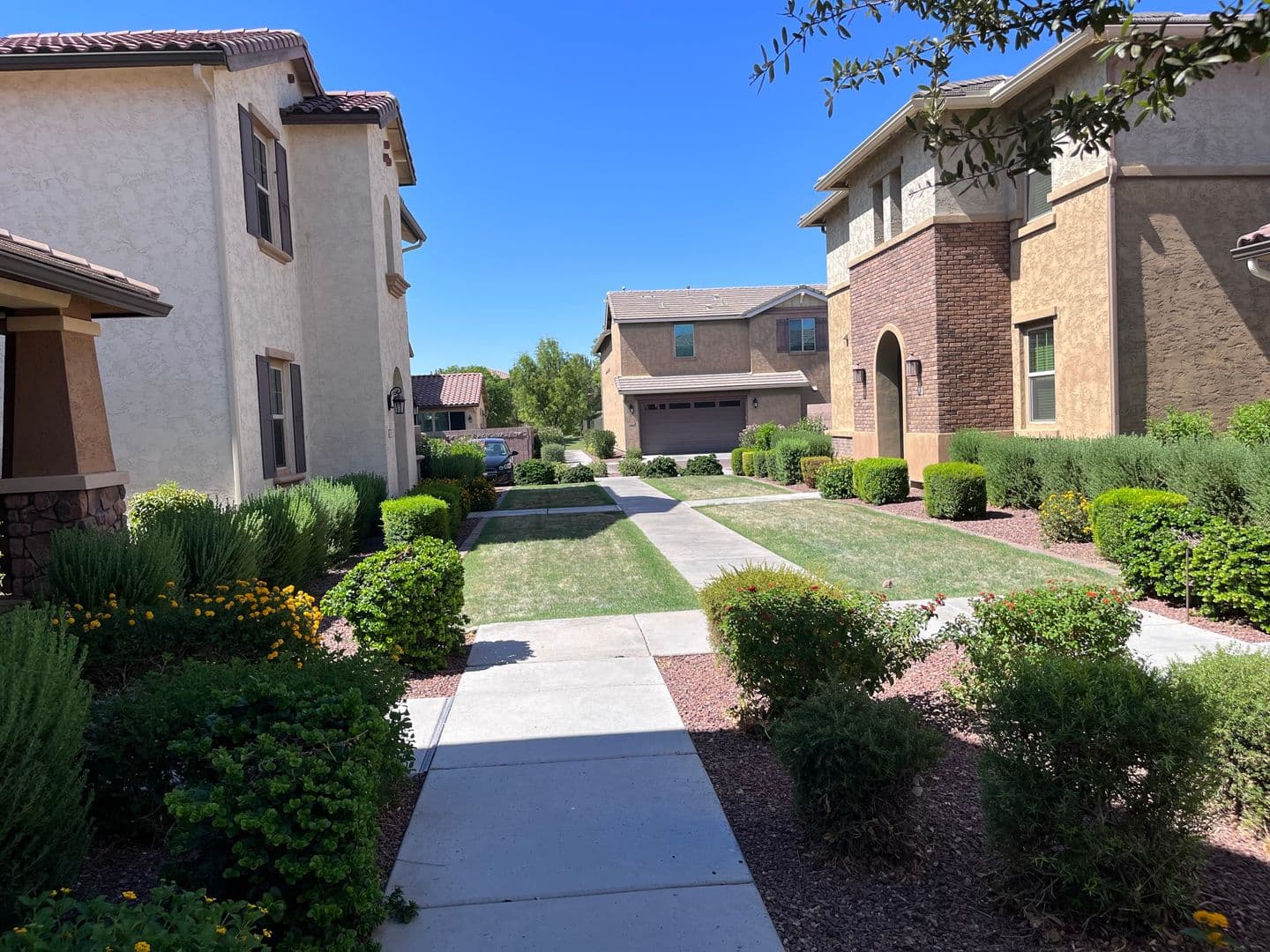Gilbert House: 1046 S Annie Ln