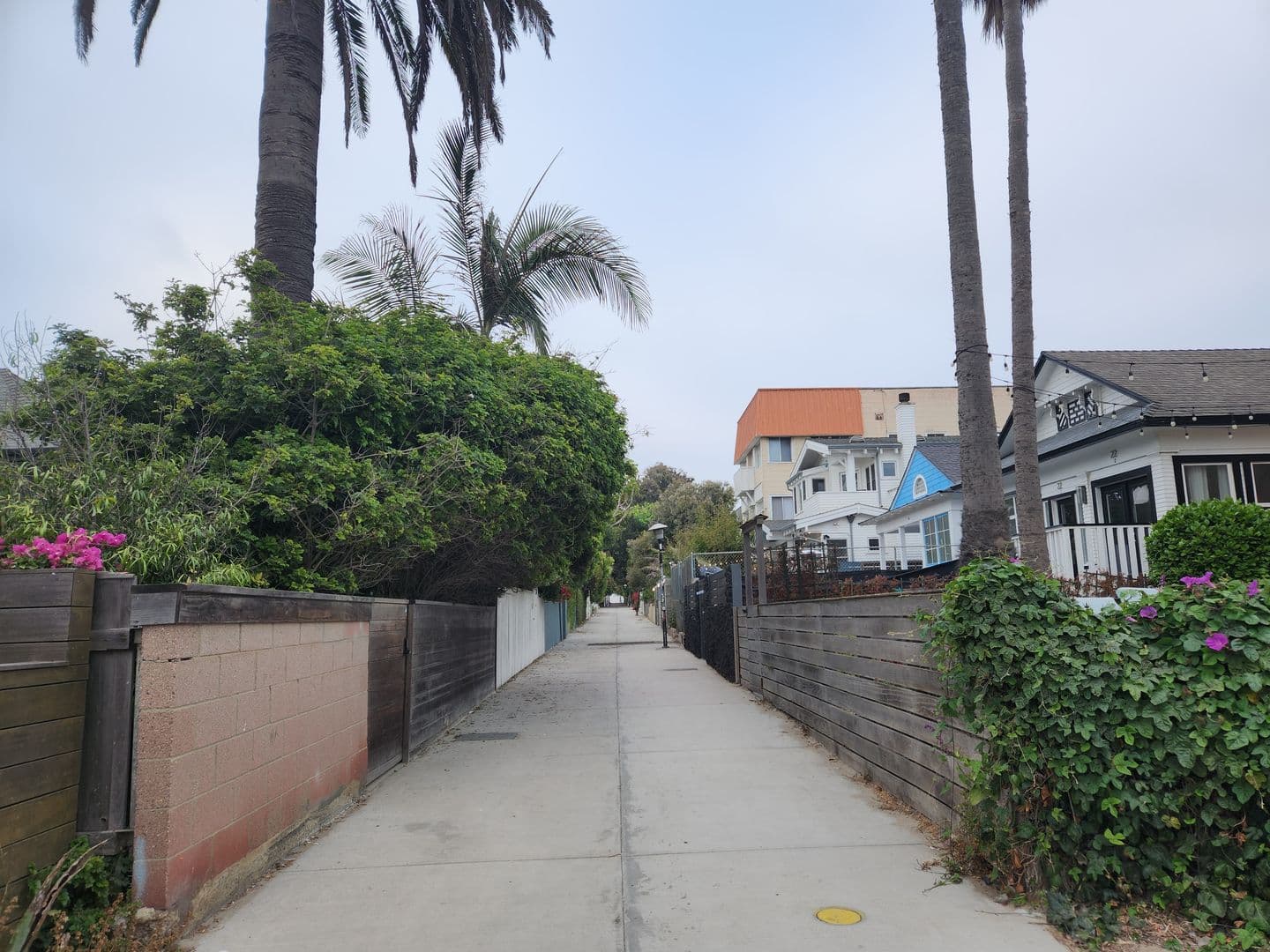 Venice Apartment: 101 Dudley Avenue