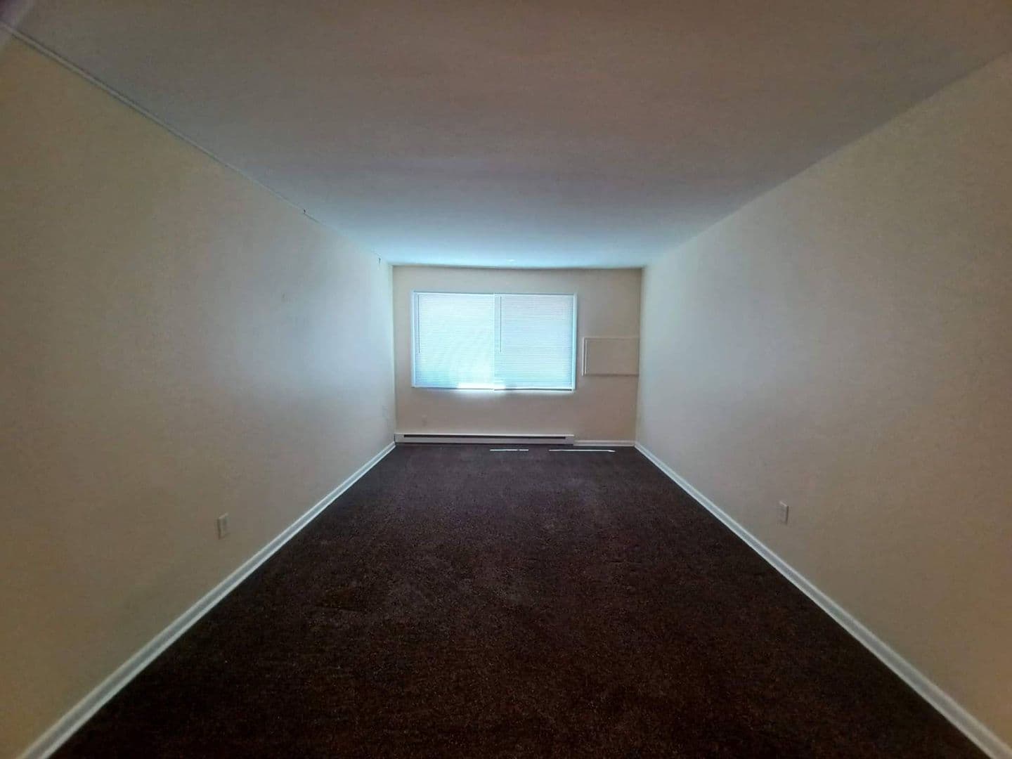 Rockford Apartment: 1116 Irving Ave