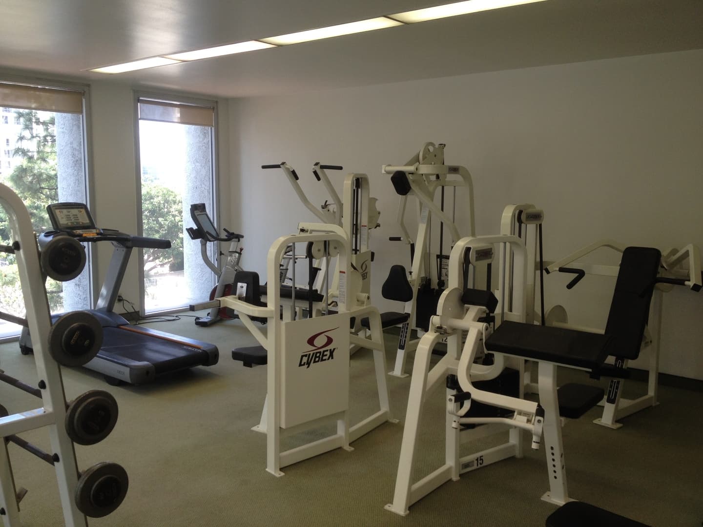 Los Angeles Condo: 800 W 1st St # 2109