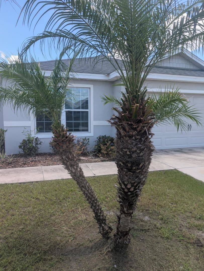 Lakeland House: 3902 White Ibis Rd