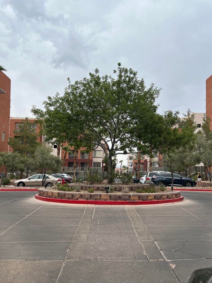 Las Vegas Apartment: 39 E Agate Ave #402