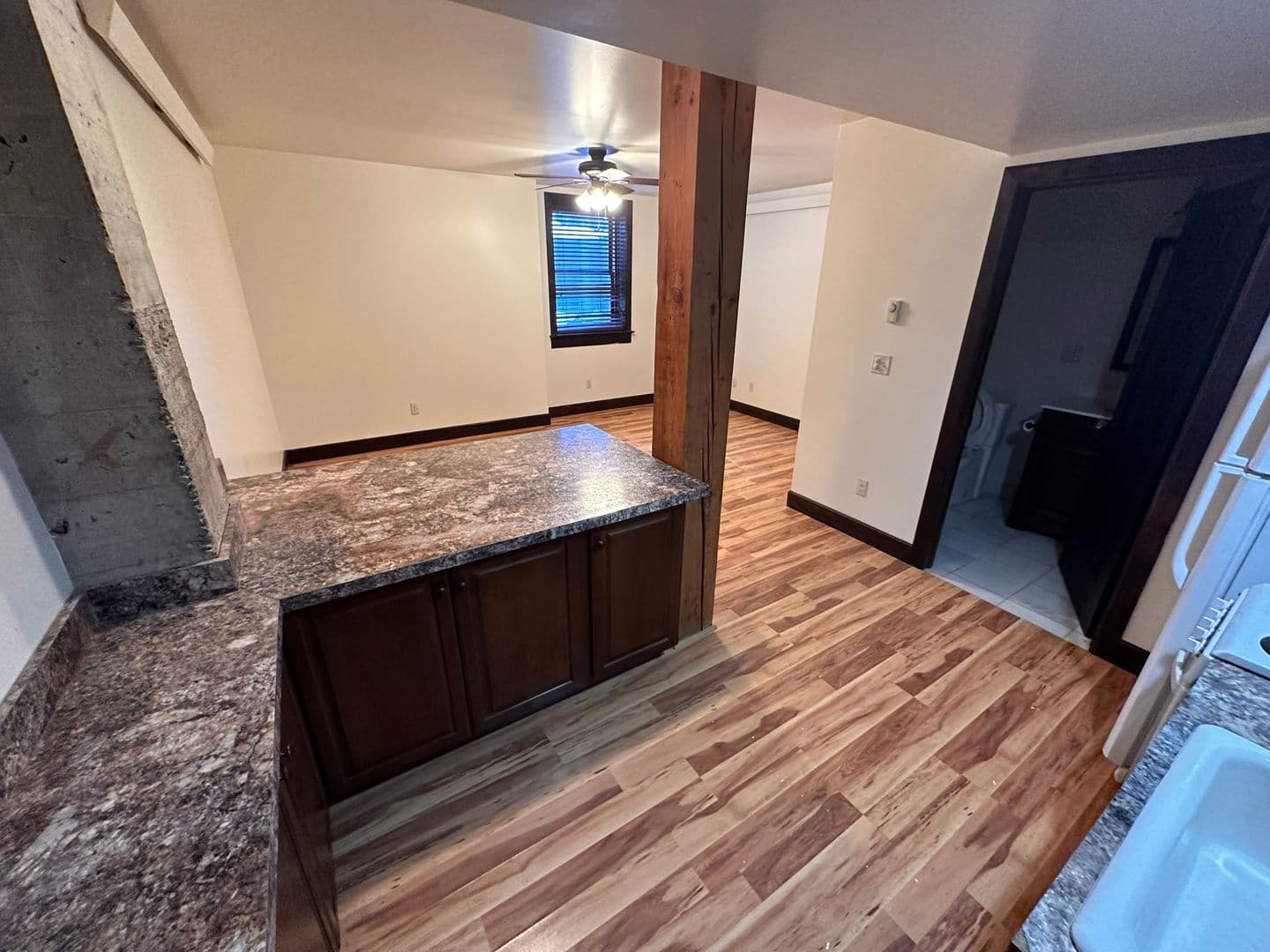 Livingston Apartment: 219 W. Callender Street