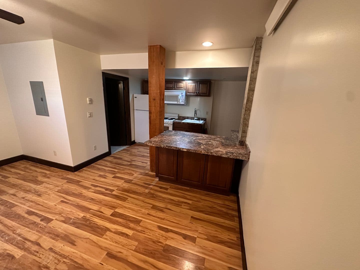 Livingston Apartment: 219 W. Callender Street
