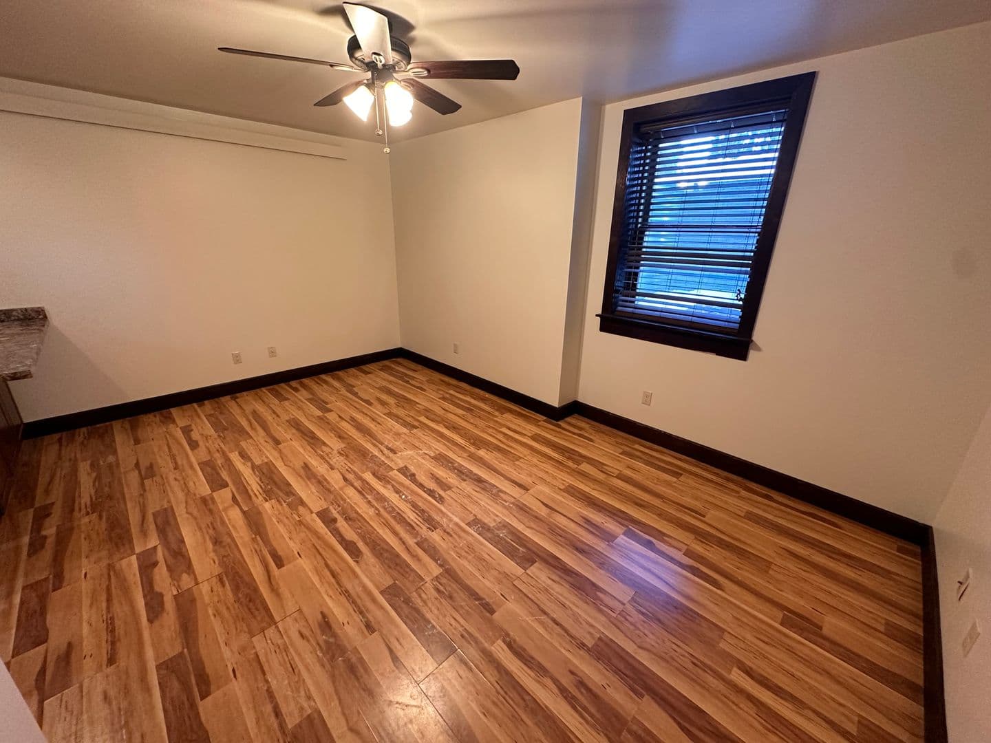 Livingston Apartment: 219 W. Callender Street