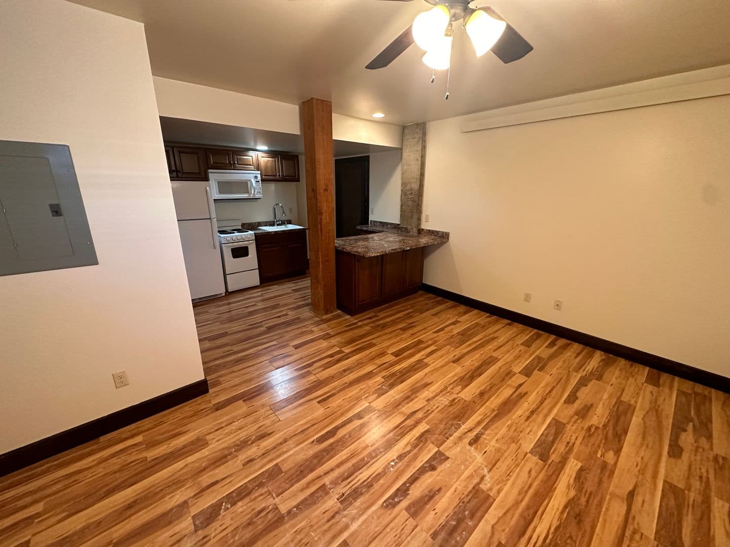 Livingston Apartment: 219 W. Callender Street