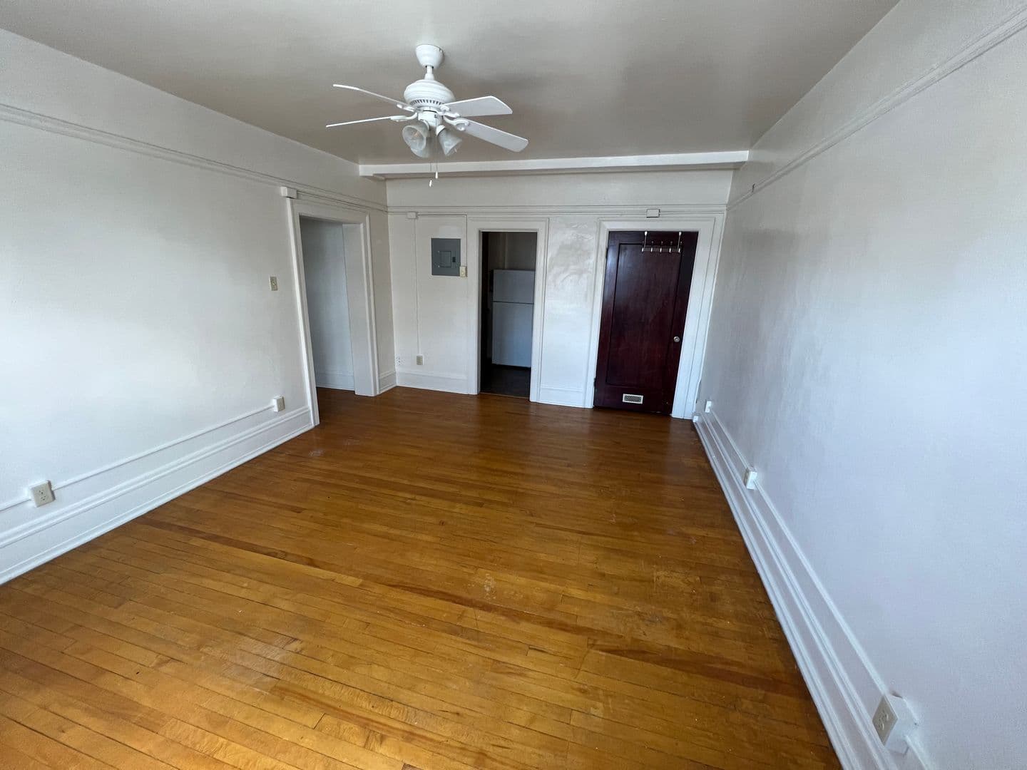 Livingston Apartment: 219 W. Callender Street