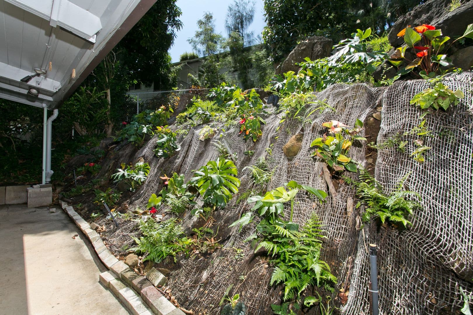 Honolulu House: 2515 Alaula Way