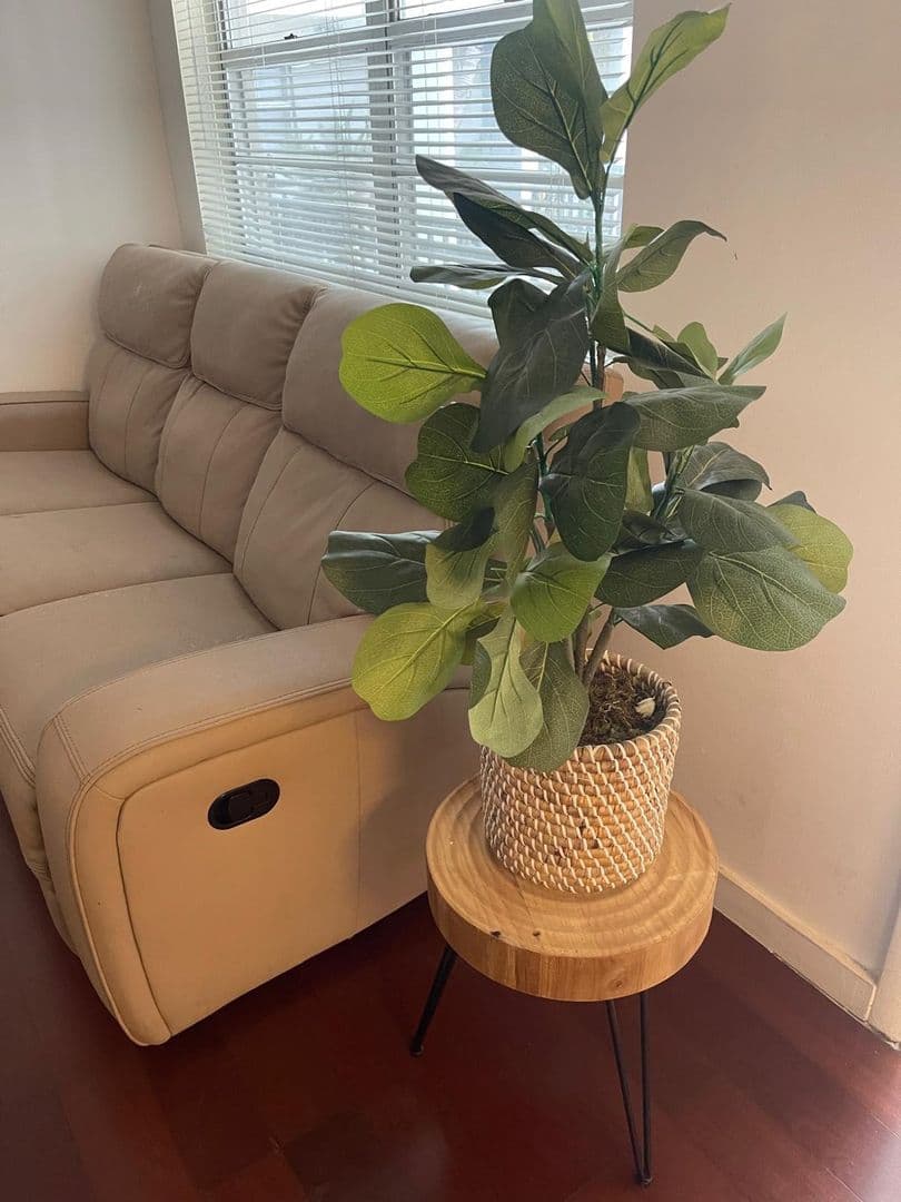 Lake Worth Apartment: 202 Lucerne Avenue