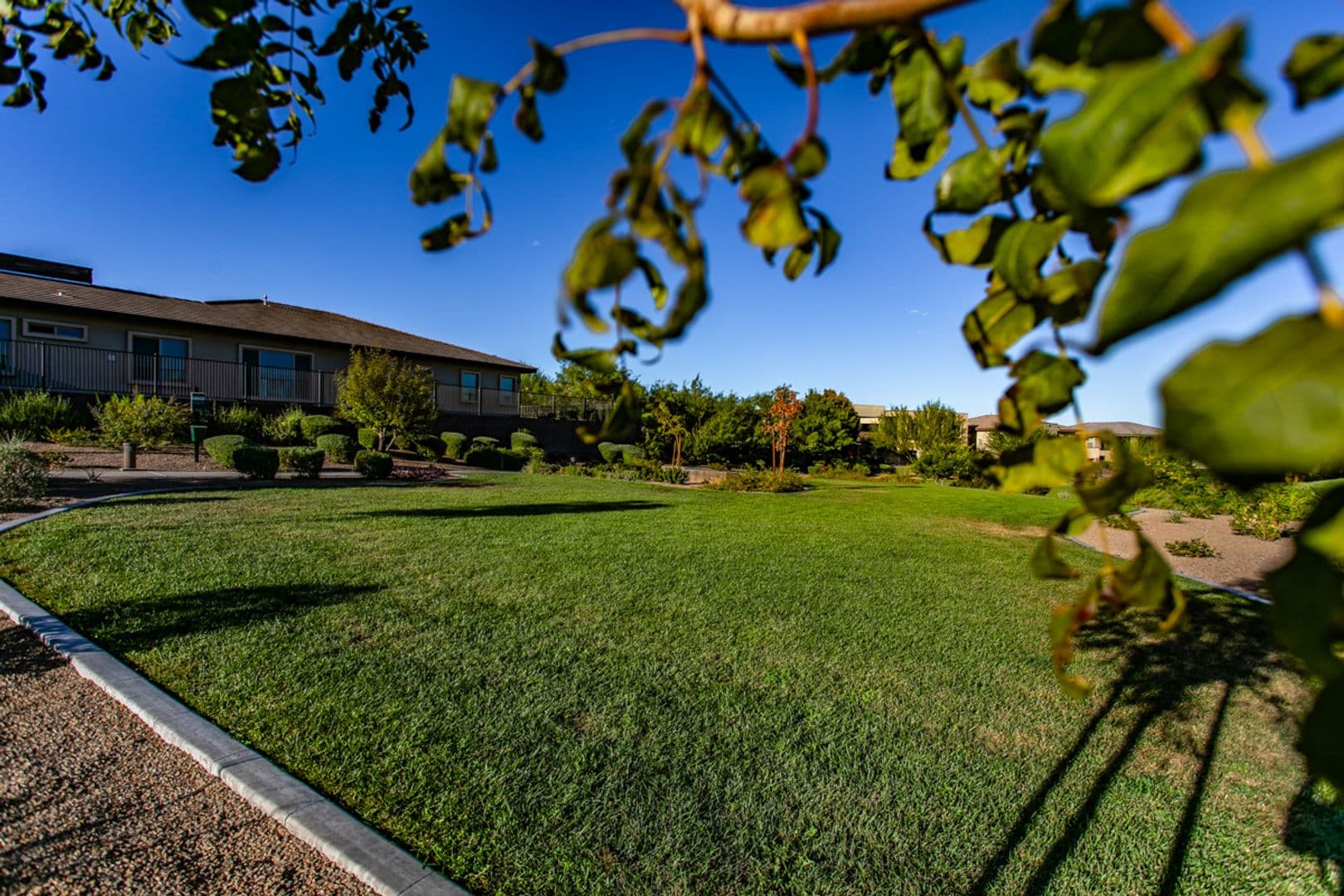 Las Vegas House: 10373 Bressana Drive