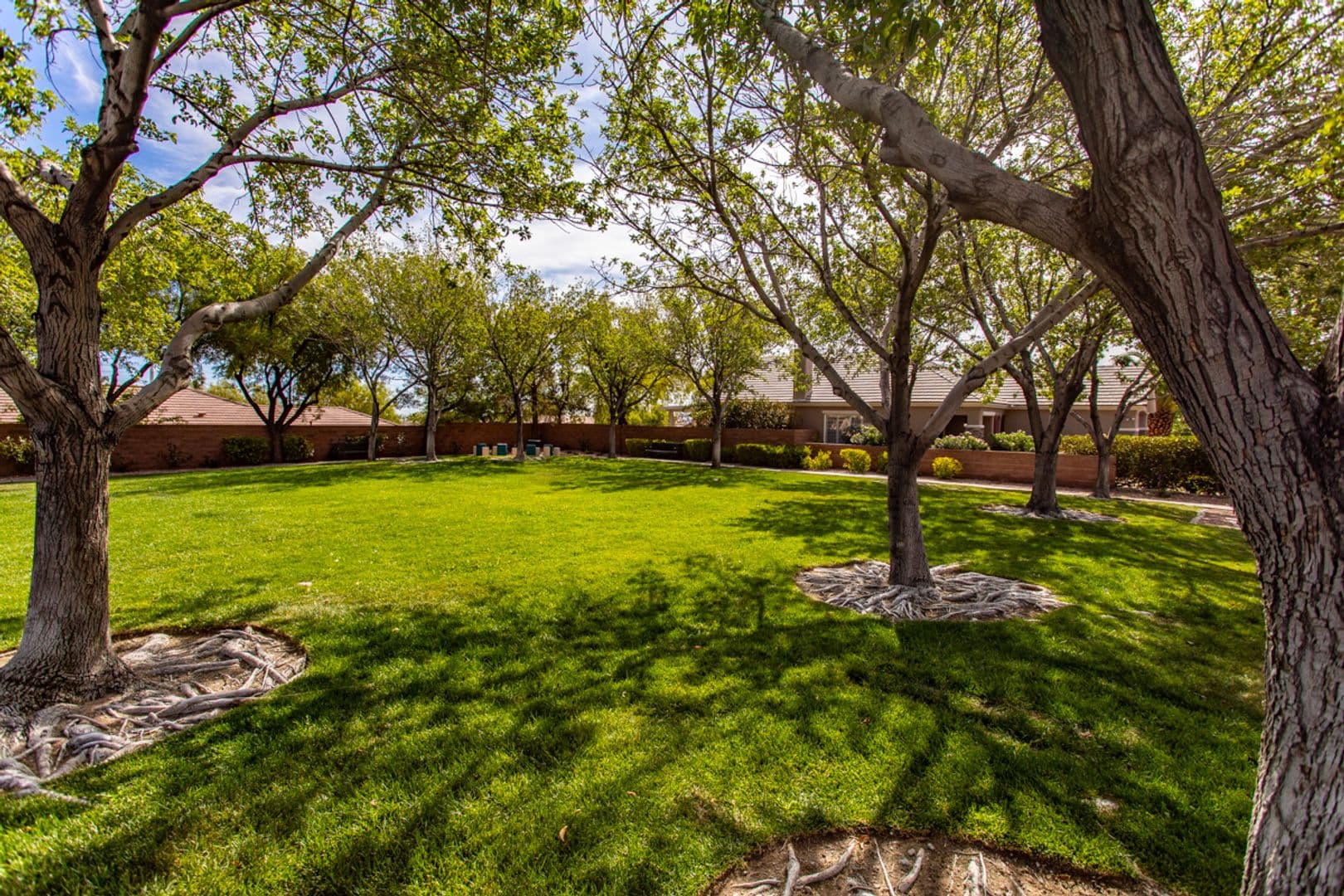 Las Vegas House: 11236 Vintners Lane