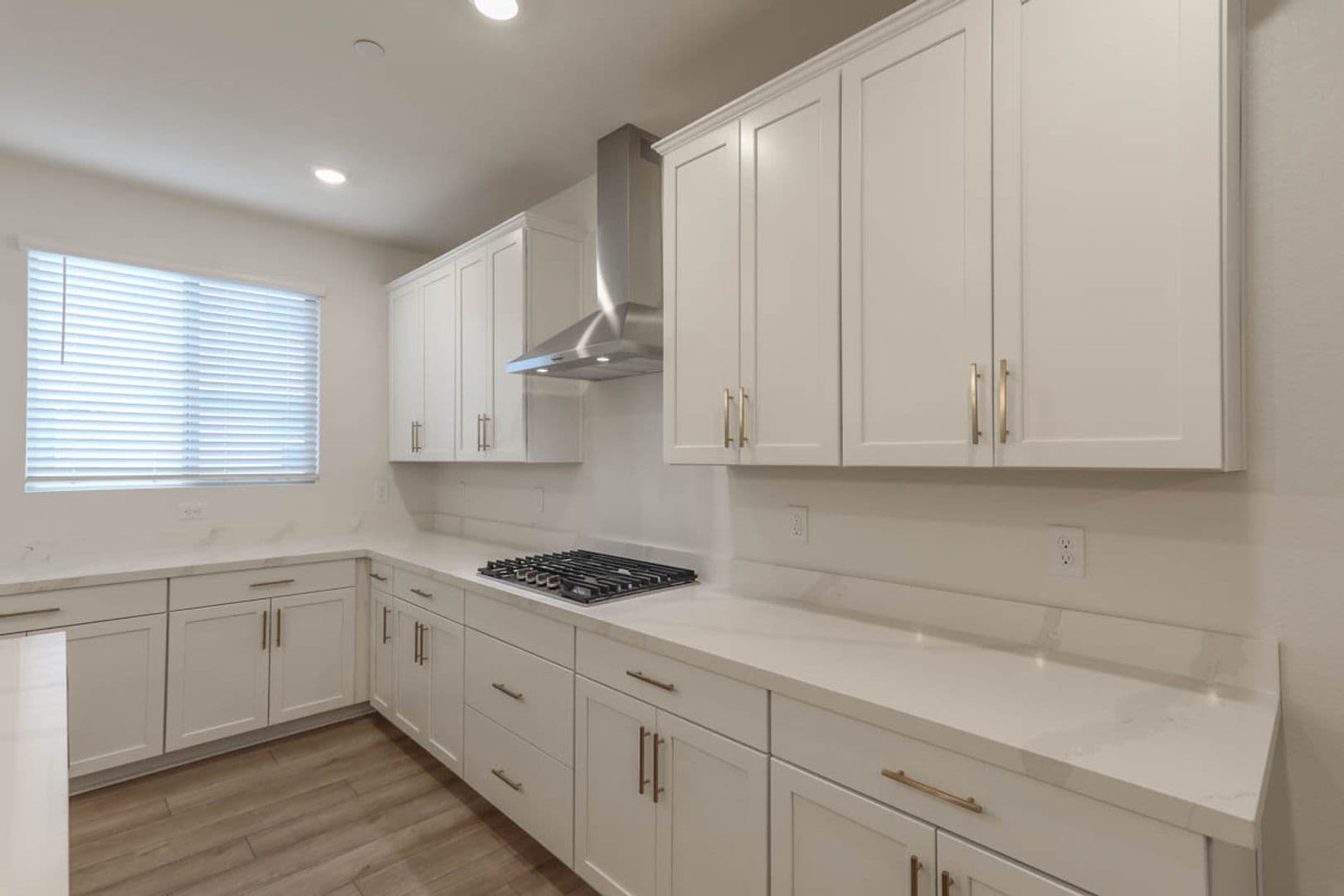 Las Vegas House: 1437 Whistling Kite Street