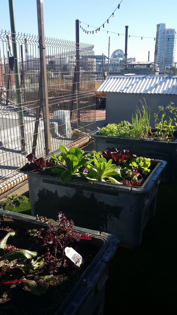 San Diego Apartment: 950 9th Ave.