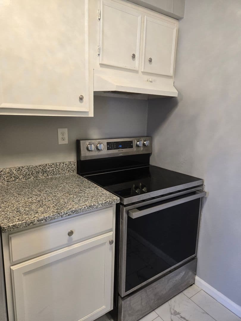 Norfolk Apartment: 1009 Hannah St