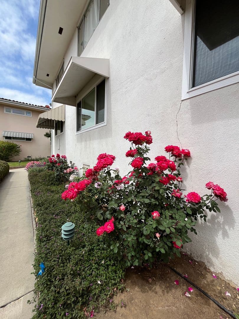 Santa Barbara Condo: 2615 State Street A2