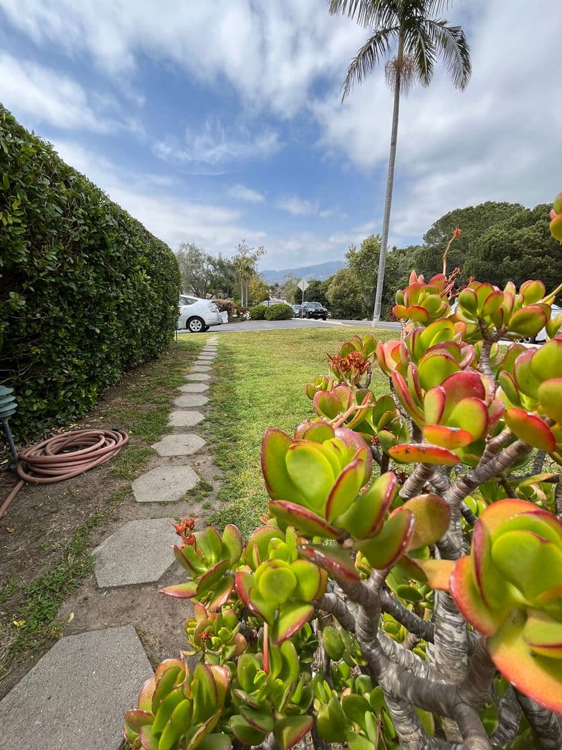 Santa Barbara Condo: 2615 State Street A2