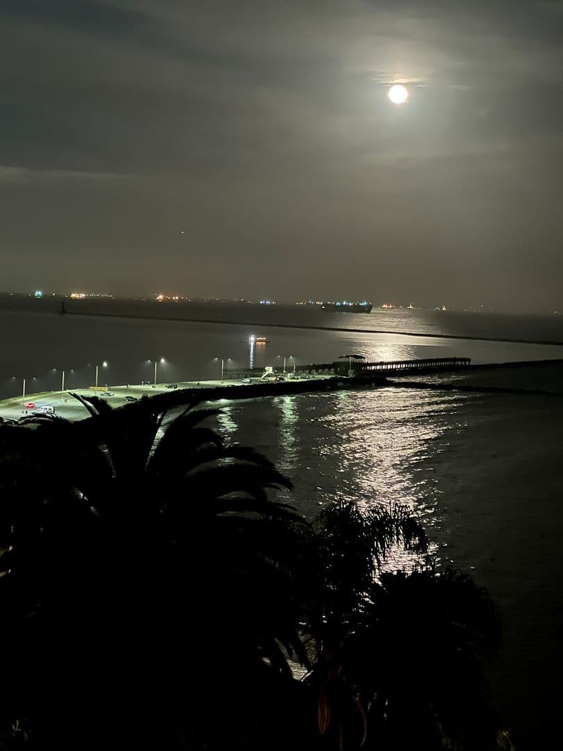 SAN PEDRO Apartment: 3811 Bluff Place.